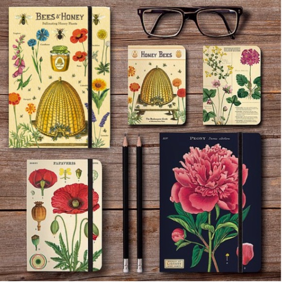 Cavallini & Co. Botany Study Of The Poppy Lined Notebook, 4” x 6” Inches - NWT - Picture 9 of 10